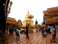 Culture and Nature Culture and Nature
