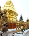 Culture and Nature Culture and Nature