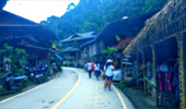 Culture and Nature Culture and Nature