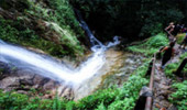 Culture and Nature Culture and Nature