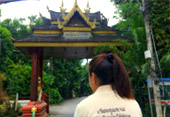 Culture and Nature Culture and Nature