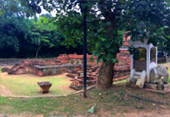 Culture and Nature Culture and Nature