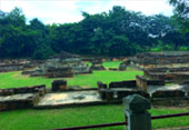 Culture and Nature Culture and Nature