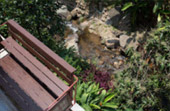 Culture and Nature Culture and Nature