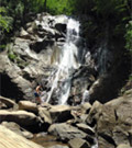 Culture and Nature Culture and Nature