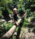 Culture and Nature Culture and Nature