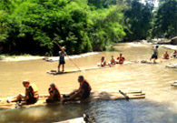 Culture and Nature Culture and Nature