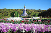 Nomad North One: 6 จังหวัด เหนือตอนบน Nomad North One: 6 จังหวัด เหนือตอนบน