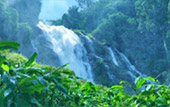 Nomad North One: 6 จังหวัด เหนือตอนบน Nomad North One: 6 จังหวัด เหนือตอนบน