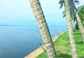 Nomad North One: 6 จังหวัด เหนือตอนบน Nomad North One: 6 จังหวัด เหนือตอนบน