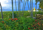 Nomad North One: 6 จังหวัด เหนือตอนบน Nomad North One: 6 จังหวัด เหนือตอนบน