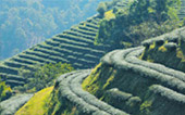 Nomad North One: 6 จังหวัด เหนือตอนบน Nomad North One: 6 จังหวัด เหนือตอนบน