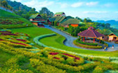 Nomad North One: 6 จังหวัด เหนือตอนบน Nomad North One: 6 จังหวัด เหนือตอนบน
