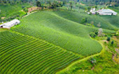 Nomad North One: 6 จังหวัด เหนือตอนบน Nomad North One: 6 จังหวัด เหนือตอนบน