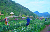 Nomad North One: 6 จังหวัด เหนือตอนบน Nomad North One: 6 จังหวัด เหนือตอนบน