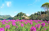 Nomad North One: 6 จังหวัด เหนือตอนบน Nomad North One: 6 จังหวัด เหนือตอนบน