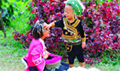 Nomad North One: 6 จังหวัด เหนือตอนบน Nomad North One: 6 จังหวัด เหนือตอนบน