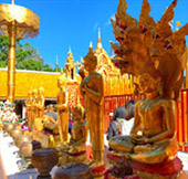 Nomad North One: 6 จังหวัด เหนือตอนบน Nomad North One: 6 จังหวัด เหนือตอนบน