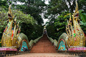 Nomad North One: 6 จังหวัด เหนือตอนบน Nomad North One: 6 จังหวัด เหนือตอนบน