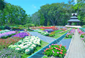 Nomad North One: 6 จังหวัด เหนือตอนบน Nomad North One: 6 จังหวัด เหนือตอนบน