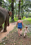 Elephant Care