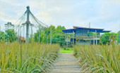 Well Trace หางดง: 1 วัน Well Trace หางดง: 1 วัน