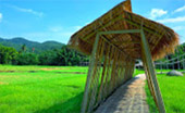 Well Trace หางดง: 1 วัน Well Trace หางดง: 1 วัน