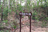 Well Trace หางดง: 1 วัน Well Trace หางดง: 1 วัน