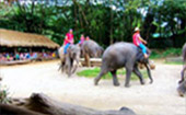 Activities Day เชียงใหม่ Activities Day เชียงใหม่