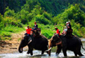 Activities Day เชียงใหม่ Activities Day เชียงใหม่