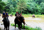 Activities Day เชียงใหม่ Activities Day เชียงใหม่