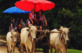 Activities Day เชียงใหม่ Activities Day เชียงใหม่