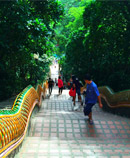 Chiang Mai Concerns Chiang Mai Concerns
