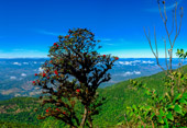 Chiang Mai Concerns Chiang Mai Concerns