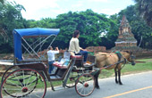 Chiang Mai Concerns Chiang Mai Concerns