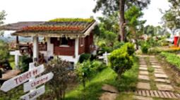 Drinks Coffee at Cool Pai Drinks Coffee at Cool Pai