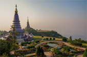 Cold Forest: เดินป่า ชมกิ่วแม่ปาน Cold Forest: เดินป่า ชมกิ่วแม่ปาน