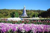 Cold Forest: เดินป่า ชมกิ่วแม่ปาน Cold Forest: เดินป่า ชมกิ่วแม่ปาน