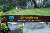 Cold Forest: เดินป่า ชมกิ่วแม่ปาน Cold Forest: เดินป่า ชมกิ่วแม่ปาน