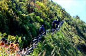 Cold Forest: เดินป่า ชมกิ่วแม่ปาน Cold Forest: เดินป่า ชมกิ่วแม่ปาน