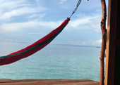 The Dream: ไปให้สุดปลายฝัน Raja Ampat by JC Tour The Dream: ไปให้สุดปลายฝัน Raja Ampat by JC Tour