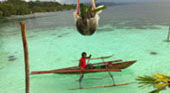 The Dream: ไปให้สุดปลายฝัน Raja Ampat by JC Tour The Dream: ไปให้สุดปลายฝัน Raja Ampat by JC Tour