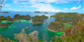 The Dream: ไปให้สุดปลายฝัน Raja Ampat by JC Tour The Dream: ไปให้สุดปลายฝัน Raja Ampat by JC Tour