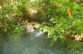 Earth Entertain: กระบี่ 4 วัน Earth Entertain: กระบี่ 4 วัน