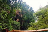 Earth Evidence : บึงกาฬ นครพนม สกล Earth Evidence : บึงกาฬ นครพนม สกล