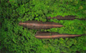 Earth Evidence : บึงกาฬ นครพนม สกล Earth Evidence : บึงกาฬ นครพนม สกล