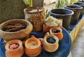 Earth Evidence : บึงกาฬ นครพนม สกล Earth Evidence : บึงกาฬ นครพนม สกล