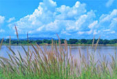 Enlarge Horizon..: เลย - เชียงคาน Enlarge Horizon..: เลย - เชียงคาน