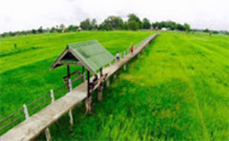 River Road อุบลราชธานี โขงเจียม River Road อุบลราชธานี โขงเจียม