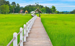 River Road อุบลราชธานี โขงเจียม River Road อุบลราชธานี โขงเจียม